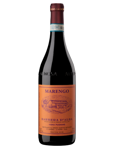 Barbera d'Alba Vigna Pugnane