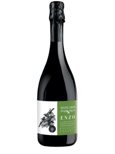 Lambrusco di Grasparossa di Castelvetro Bio